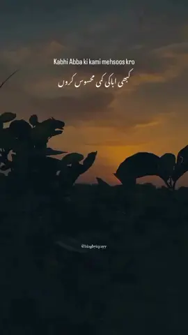 Kuch batein hai jo bas apsy karni hai baba❤️‍🩹 . . #baba #foryou #growmyaccount #unfrezzmyaccount #follow 