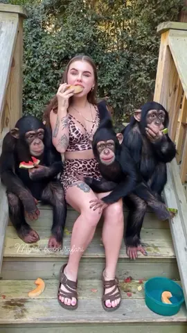 Sharing some melon with my chimpanzee family on this beautiful summer day☀️🍉  • • • #Chimps #chimpanzee  #chimps #apes  #cuteanimals #animalsaddict #animals #explorepage #animals  #animallover #monkey #monkeys #monkeyseemonkeydo  #monkeylove 