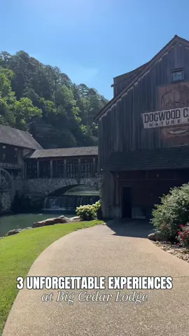 @bigcedarlodgeresort is a little slice of heaven on earth! 🤩 I have already started planning a trip back - there’s just so much to see and do! Here’s how I spent the most amazing weekend: 🎣 Dogwood Canyon Nature Park - this trail made for the most beautiful hike through the area! At just over 3-miles one way, this spot could easily be an all day event if you want it to be! You can bike, walk, or take a tram tour of the grounds.  🛥️ Lady Liberty Dinner Cruise - see Tablerock Lake up close on this one-of-a-kind dinner cruise! The food was delicious, the live music was amazing, and the bar on board made everything even better. You’ll enjoy the sunset on the way back to the dock and it’s gorgeous! 🦇  The Lost Canyon Cave and Nature Trail - an epic self-guided golf cart tour through the stunning landscape! After a pit stop at the Bat Bar (a bar in a cave 🤯) you’ll explore the sights and views of this gorgeous area! Big Cedar has even more attractions and activities and after experiencing these 3, I can’t wait to go back and see more! 🤩  #visitmo #missouri #bransonmo #branson #KansasCity #lokcal 