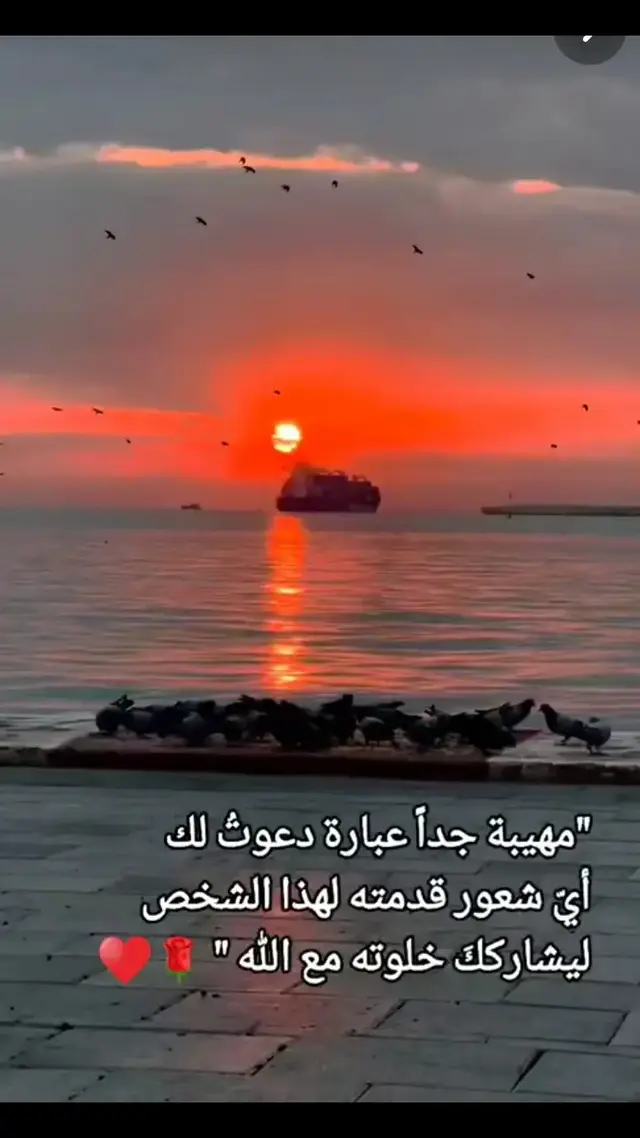 مساء جديد وأمل يتجدد بإذن الله #اكسبلورexplore مساء الخير 