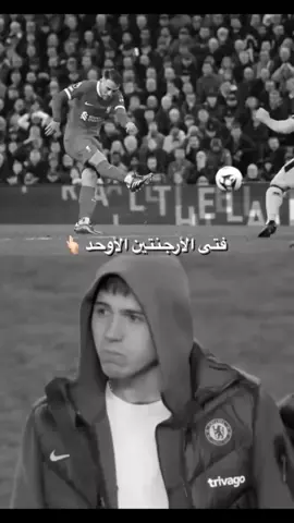 #ماك_اليستر #ليفربول #تشيلسي