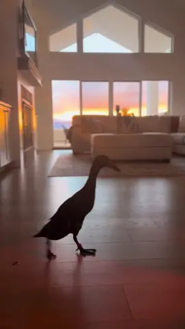 #farmhouse #4122wm #colorado 