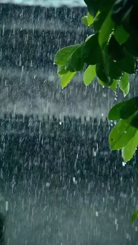 không có nhạc, chỉ có tiếng mưa  #buontamtrang 