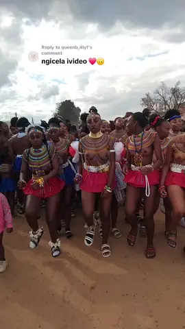 Replying to @queenb_4lyf #fypシ゚viral🖤tiktok #favorite #ingomakazwelonke💃💃💃 #maskandi #bhincanation 