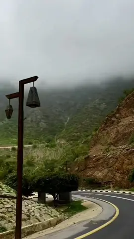 #السعودية🇸🇦 #رجال_المع #الجنوب_السعودي #الأردن🇯🇴 #محمد_عبده #عبدويات🎻🎻 #تنشد_عن_الحال 