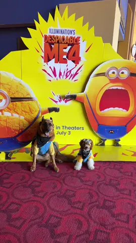 Despicable Me 4 will be in theaters TOMORROW July 3rd!! 🎥  Super grateful to be able to attend the prescreening as I had so many good laughs!  Minions can always make the kids laugh, and they made sure to put in some laughs for the adults too.  The gas prices make me laugh, and made me sad at the same time! ⛽️ you’ll know soon! (;  Get tickets with your friends and family for a fun movie!  🍿  @illuminationent @amctheatres @despicableme  #despicableme4 #DM4 #illuminations #movies #familyfriendly #minions #despicableme #newmovies #prescreening #movie #amctheaters #amc #sfblogger #sfbloggers #sfbloggercommunity 