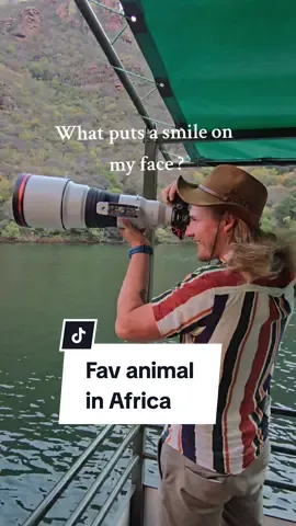 🦁 #nature #naturelovers  #natureza #naturevideos  #africa #southafrica  #wildlife #wildanimals  #wildlifephotography 