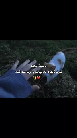 هاذا مو مبرر لان الحبك مايخلي اي شي يصير بيناتكم بس الضاهر مجانت تحبني 🙂✨💔. #fypシ゚viral 