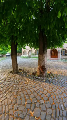 Şəfiqə Axundova dəyərli sənətkar.        #şəfiqəaxundova #şəfiqə #axundova #shafiga #hesretinden #sheki