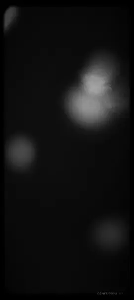 yo no soy como todos y eso te va a doler toda la vida  #yoelijoserautentico #Viral #nosoycomotodos #ftp #yonosoycomotodos #paratiiiiiiiiiiiiiiiiiiiiiiiiiiiiiii 