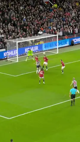 This goal by Hall against Man Utd this season 🔥 #hall #football #nufc #goals 