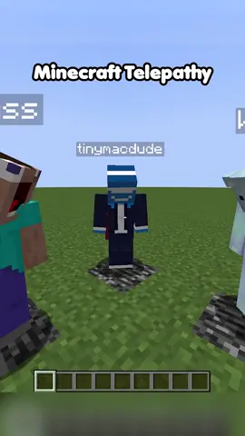 minecraft telepathy with friends #Minecraft #minecraftmeme #youtube #funny #cheappickle