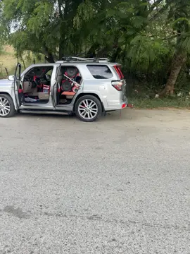 La perra gris 