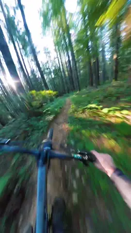 Ive never regretted getting out for sunrise! 🔥 #mtb #gottagofast #nature #bike 