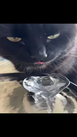 #likeacrack #tutnstn66 #d1s6ix 