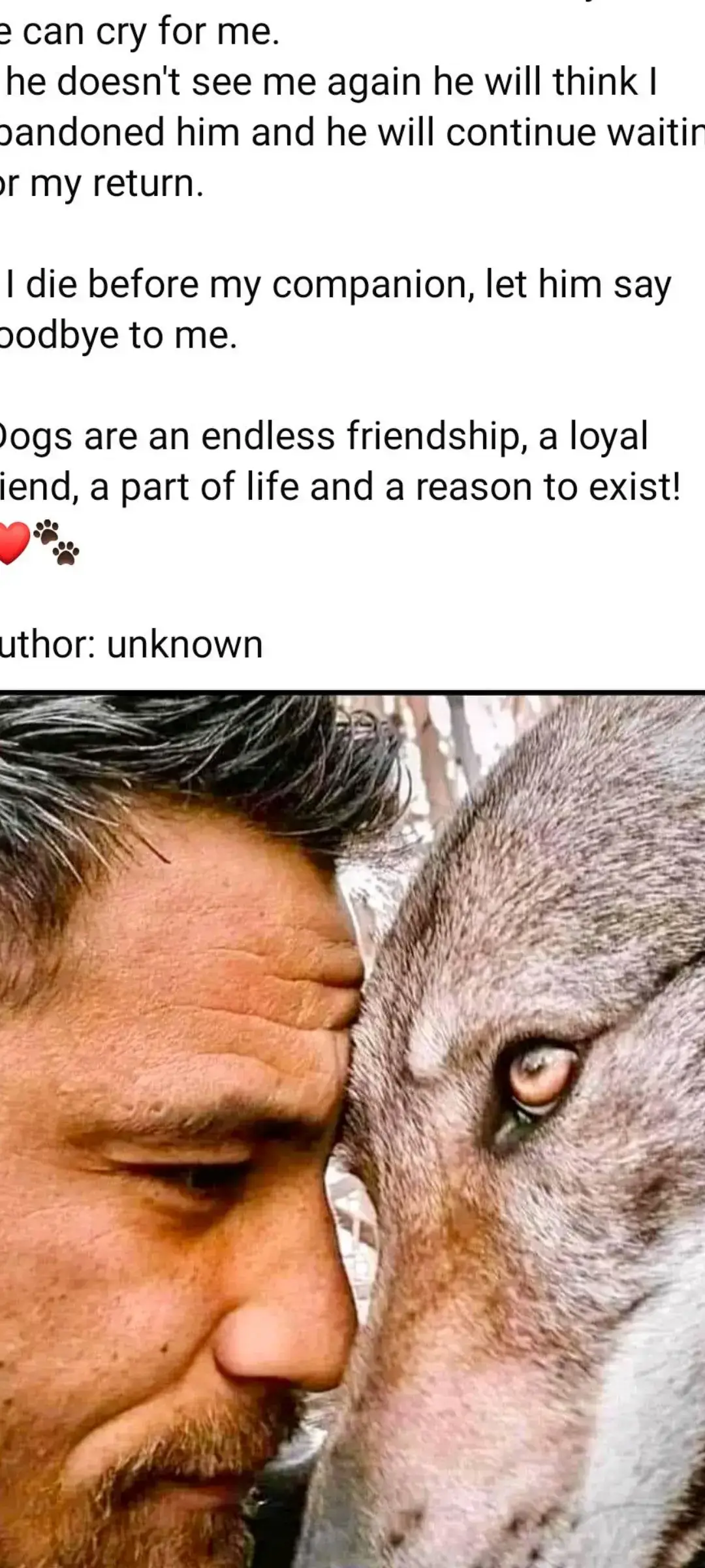 I tell my family this all the time. if i go before my doggies,  please allow them to say their goodbyes. My dogs are so spoiled to me that they would need this, to have closure. #dogs #dogsarefamily #dogsarethebestpeople #fypage #fy #like #share #comment #follow #ifollowback #helpmegetto1k #1000k #worktogether #letsdothis #letsgetherdone #wegotthis #tiktok #loyal 
