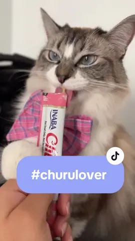 Me encanta mi churu @INABA Foods México 💖 #churulovers #comochuruninguno #cats #gatos #publicidad 