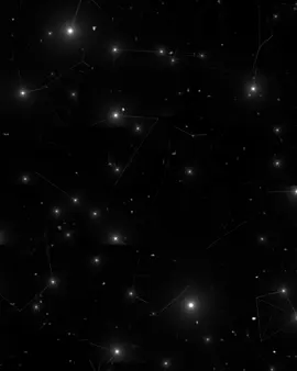 رسول حافظ وهلاي#رسول_حافظ #وهلاي #مشاعر#fyp #اغاني #lraq #تصميم_فيديوهات🎶🎤🎬 #تصميمي #الشعب_الصيني_ماله_حل😂😂 #العراق🇮🇶 #اكسبلور#مصر