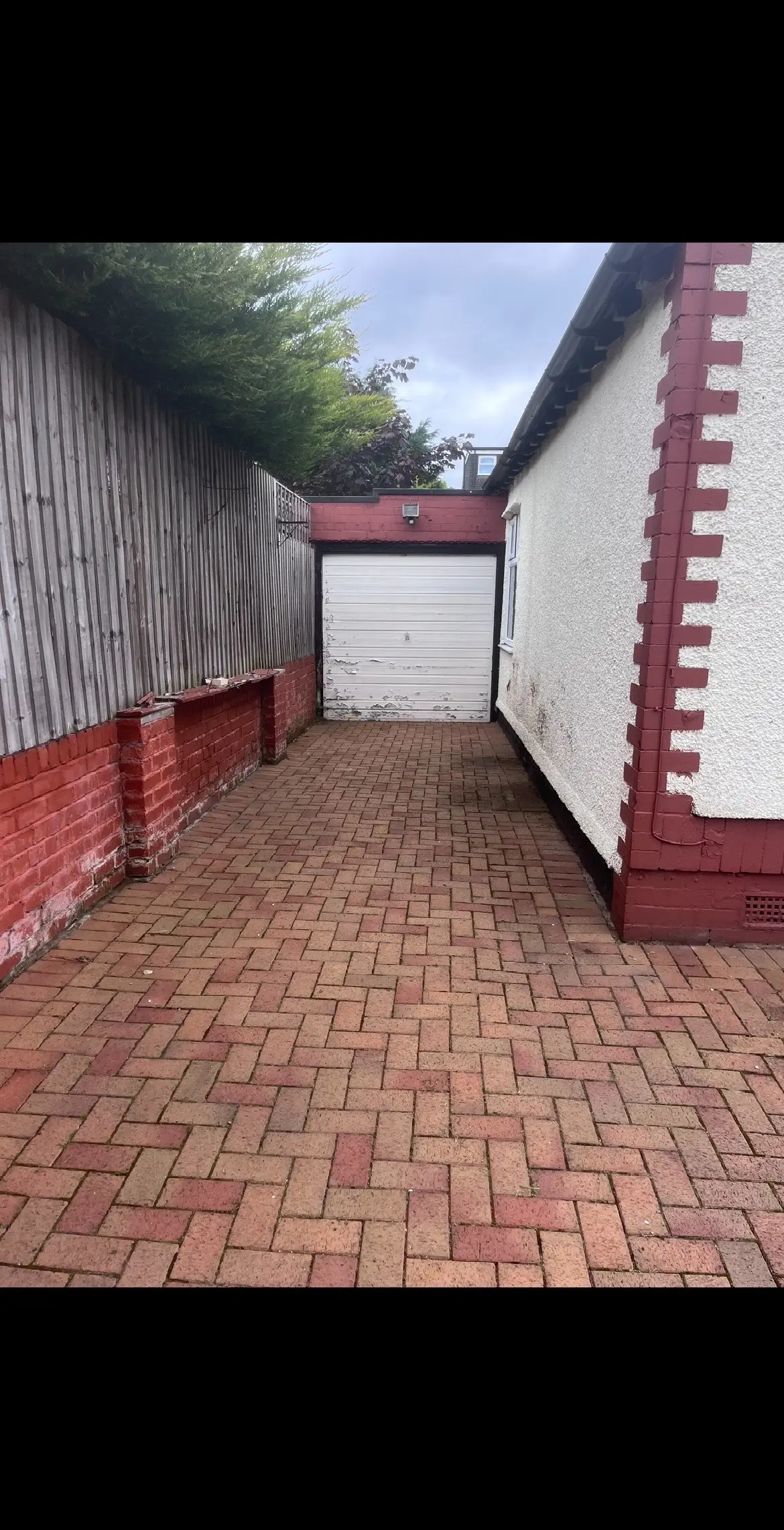 #fyp #garden #hardwork 