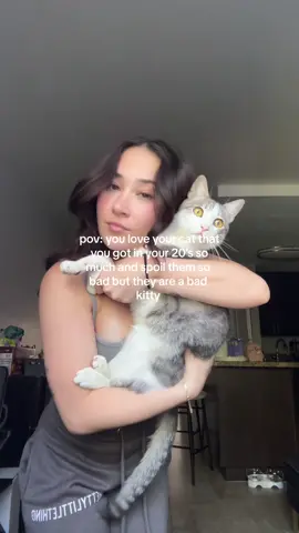Mommy just really aggravated him by trying to make this video three times <3 love u pookie  #fypシ゚viral #catmom #catlover #catsoftiktok 