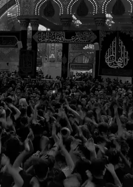 آجركَ الله ياَ صاحبَ الزمانَ💔. #عاشوراء١٤٤٦ #عاشوراء #محرم1446 #fypシ #fyp #اكسبلورexplore #محرم #foryou #محرم_عاشوراء #ويبقى_الحسين #لايك 