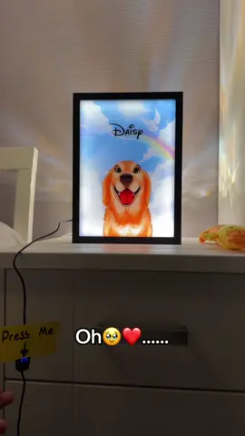 The end had me bawling😭 #doggrief #rainbowbridge #dogloss #dogsoftiktok 
