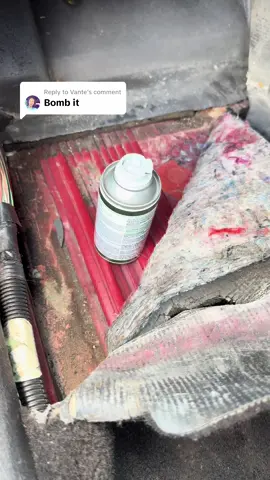 Replying to @Vante  Ant Bomb got the job done!! #viral #detailing #fyp 