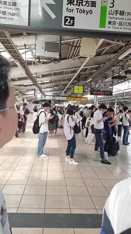 budaya antri#queue #subway #tokyo #train 