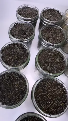 Wouldn’t want it any other way #caviar #fisheggs #blackcaviar #hacklebacksturgeon #FoodTok #foodtiktok #foryoupage 