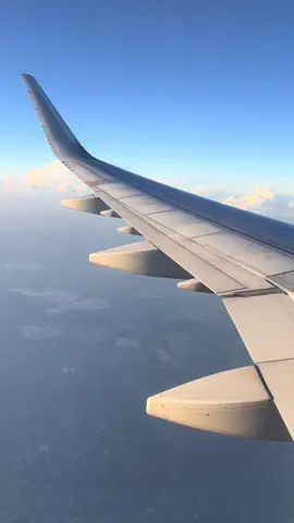 Euro summer! Rome 2024! #eurosummer #rome #italy #eurosummer2024 #rome 