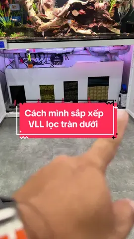 Cách mình bố trí 1 hệ thống lọc tràn dưới cho hồ cá mà mình đang chơi nè ae . #tuấnmêcá #menuoica #hocadongian #tulamhoca #dammenuoica #hethonglochoca #trongcaynuoica #lọctranduoi #hocongnghemoi 