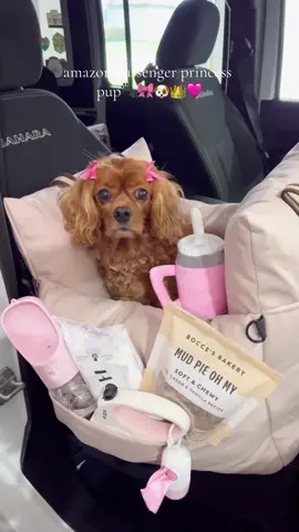 linked in bio on amazon storefront!🐾 Passenger princess mode activated: pup edition!🐶 Ruby lives to be a passenger princess👑😂 This cute bed has been perfect to make car rides easier for her! It fully unzips so she can easily walk into it without needing us to pick her up, since she's getting older & has a sensitive back! then we can easily lift her in/ out of the car and she LOVES riding in it!!🩷 these @Bocce’s Bakery treats are her fav! Clean, minimal ingredients and the cutest flavors/packaging!🍪 #amazonpets #amazonpet #passengerprincess #cavalierkingcharles #puppylove #dogsoftiktok #amazonhome #asmr #amazonfinds 
