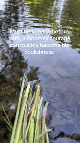 @CRAWLY #gnome #knight #gnometok #darkfantasy #woods #fantasy #gnomes #foryou 
