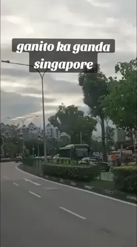 ganito ka ganda ang singapore #nocopyrightmusic #nocopyrightinfringementintendedmusic 