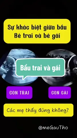 Các mẹ thấy có đúng không ạ #meGauTho #ngucocbaulaclac #embe #xuhuong  