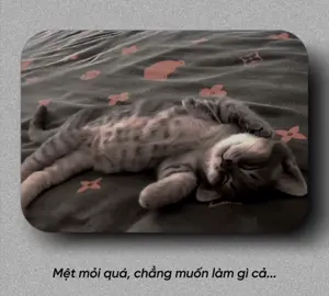 Mệt mỏi quá , chẳng muốn làm gì cả… #radio #suynghitrongtoi #suy #tamtrang 