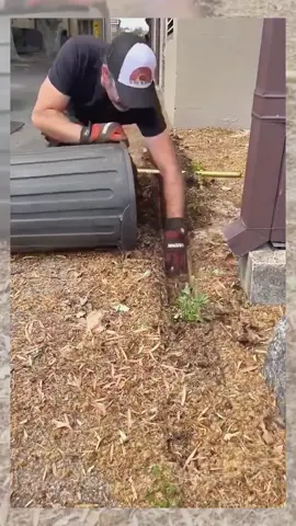 Tôi thích cách làm việc của anh ấy#asmr #foryou #fy #carpetcleaning #rugwashing #cleanhouse #clranup #treehouse