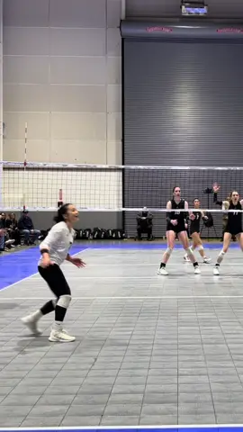some of the funniest moments from the last couple of tourneys 😭 . . . #volleyball #libero #amyito 