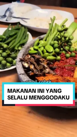 Sambal, Lalapan, Ikan Asin, Pete, Ayam Goreng dan Lalapan pasti akan selalu buat Sultan Pacitan galau saat Diet. #sultanpacitan #diet #menudiet #sambal #lalapan #ikangoreng #ikanasin #sambalterasi #ayamgoreng #pete #petai #livingingermany #mixmarriage #fypindonesia 