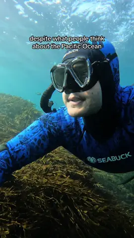 Food to provide for my family. Everyrhing is done safely 💜🫶🏽