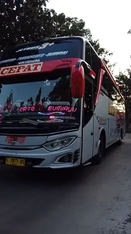 eka cepat Surabaya - Bumiayu #busmbois #dennycaknan #sigar #bus #cctv_truck_indonesia #cctvbus #cctv #busmaniacomunity #busmaniacommunity #busmania #surabaya #ekamira #buseka #ekacepat 