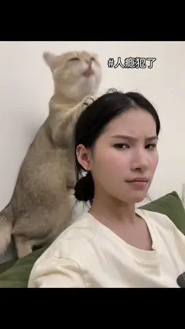 #cuteanimals #funnycat #catsoftiktok #可愛い猫 #cat 