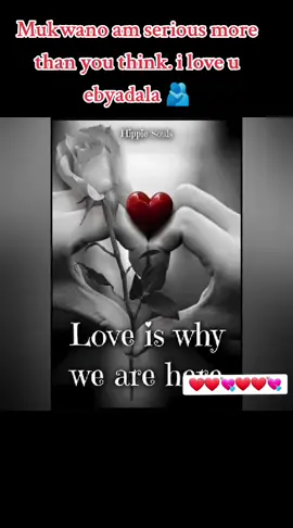 #onthisday #foryourpage #samalielove #sharing 