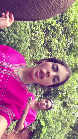 el elefante dandome la espalda 😭