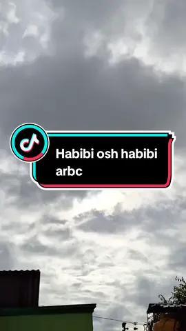 Habibi mosh habibi #hfdlh_✨ #arabiclirikkk #fyp #ramein #foryou #CapCut 