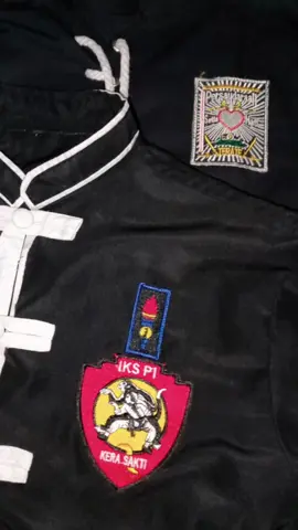 🙏🙏🙏#fyp #ikspikerasakti_indonesia #pshtpusatmadiun 