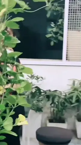 #hahaha😂😂😂😂😂😂😂 