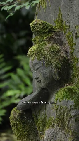 #CapCut Nhân sinh hoạ phước vô thường... #CapCut #xuhuong #tuetam9519 #trichdanhay #tamtrang #tuetamhocphat🍀 #phatphapnhiemmau #nammobonsuthichcamauniphat 