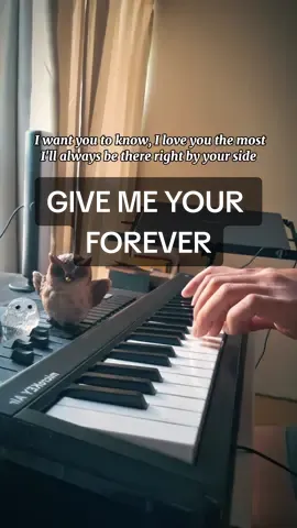 Give me your forever ❤️🎹 #givemeyourforever #cover #zacktabudlo #viraltiktok #viralvideo 