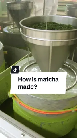 Have you ever wondered what is matcha and how it is made?  Matcha is a delicate product that requires many different steps to be produced. This process is one of the most important aspects that contribute to having a good quality and non-bitter tasting cup of matcha.  For a full tour of our matcha farm and facility head over to our YouTube channel! 🍵 #matcha #japan #healthy #matchalatte #facts #howitsmade #japanesefood 